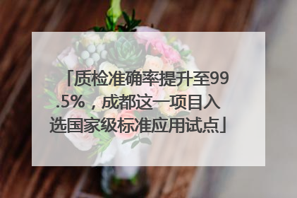 质检准确率提升至99.5%，成都这一项目入选国家级标准应用试点