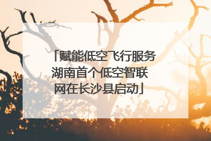 赋能低空飞行服务 湖南首个低空智联网在长沙县启动