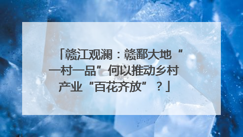 赣江观澜：赣鄱大地“一村一品”何以推动乡村产业“百花齐放”？