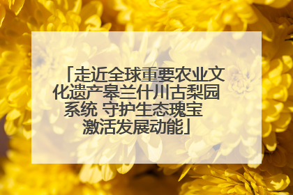 走近全球重要农业文化遗产皋兰什川古梨园系统 守护生态瑰宝 激活发展动能