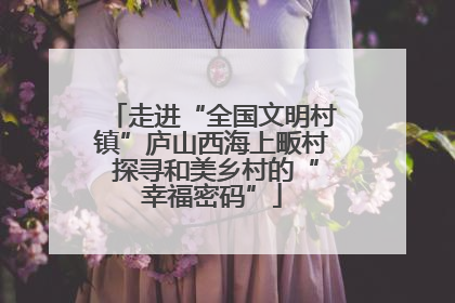 走进“全国文明村镇”庐山西海上畈村 探寻和美乡村的“幸福密码”