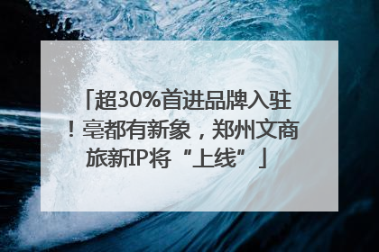 超30%首进品牌入驻！亳都有新象，郑州文商旅新IP将“上线”