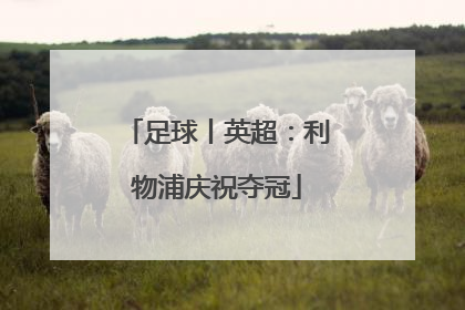 足球丨英超：利物浦庆祝夺冠