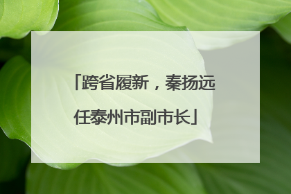 跨省履新，秦扬远任泰州市副市长
