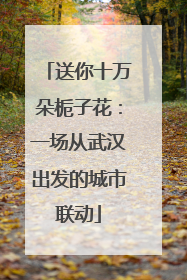 送你十万朵栀子花：一场从武汉出发的城市联动