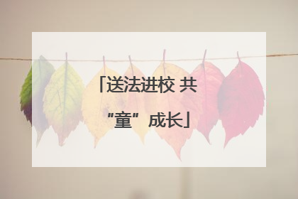 送法进校 共“童”成长
