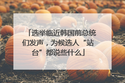 选举临近韩国前总统们发声，为候选人“站台”都说些什么