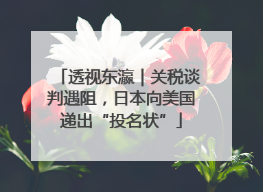 透视东瀛｜关税谈判遇阻，日本向美国递出“投名状”