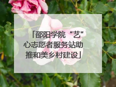 邵阳学院“艺”心志愿者服务站助推和美乡村建设