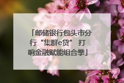 邮储银行包头市分行“集群e贷” 打响金融赋能组合拳