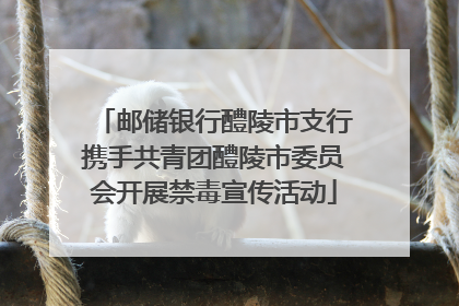 邮储银行醴陵市支行携手共青团醴陵市委员会开展禁毒宣传活动