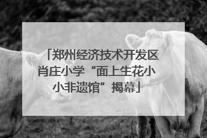 郑州经济技术开发区肖庄小学“面上生花小小非遗馆”揭幕