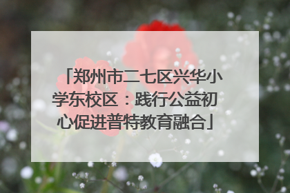 郑州市二七区兴华小学东校区：践行公益初心促进普特教育融合