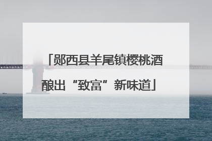 郧西县羊尾镇樱桃酒酿出“致富”新味道