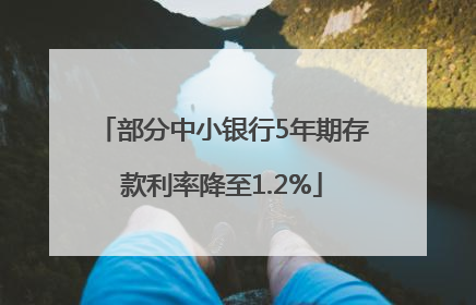 部分中小银行5年期存款利率降至1.2%