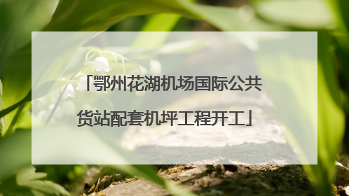 鄂州花湖机场国际公共货站配套机坪工程开工