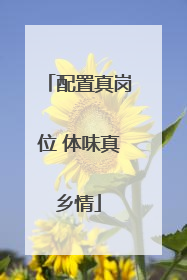 配置真岗位 体味真乡情