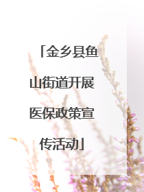 金乡县鱼山街道开展医保政策宣传活动