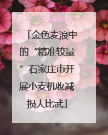 金色麦浪中的“精准较量”石家庄市开展小麦机收减损大比武