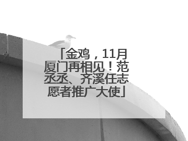 金鸡，11月厦门再相见！范丞丞、齐溪任志愿者推广大使