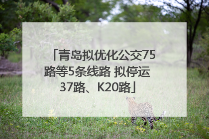 青岛拟优化公交75路等5条线路 拟停运37路、K20路