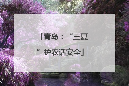 青岛：“三夏”护农话安全