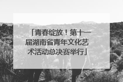 青春绽放！第十一届湖南省青年文化艺术活动总决赛举行