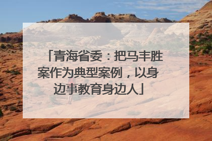 青海省委：把马丰胜案作为典型案例，以身边事教育身边人