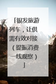 银发旅游列车，让供需有效对接（提振消费一线观察）