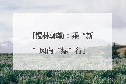 锡林郭勒：乘“新”风向“绿”行