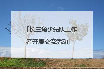 长三角少先队工作者开展交流活动
