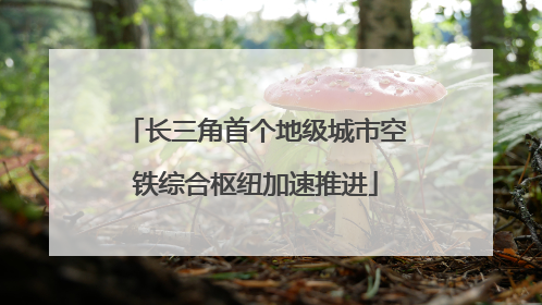 长三角首个地级城市空铁综合枢纽加速推进