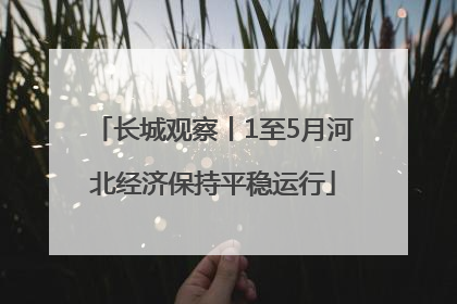 长城观察丨1至5月河北经济保持平稳运行