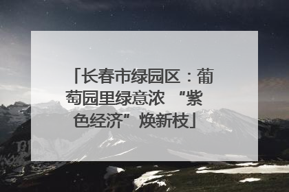 长春市绿园区：葡萄园里绿意浓 “紫色经济”焕新枝