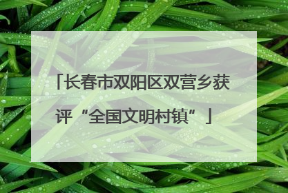 长春市双阳区双营乡获评“全国文明村镇”