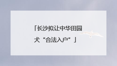 长沙拟让中华田园犬“合法入户”