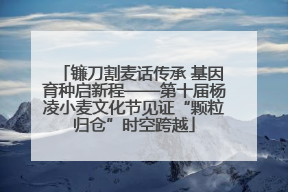 镰刀割麦话传承 基因育种启新程——第十届杨凌小麦文化节见证“颗粒归仓”时空跨越