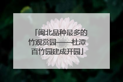 闽北品种最多的竹观赏园——杜潭百竹园建成开园