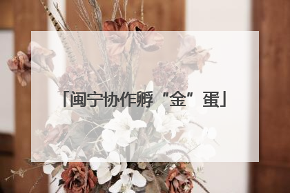 闽宁协作孵“金”蛋
