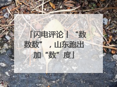 闪电评论丨“数数数”，山东跑出加“数”度