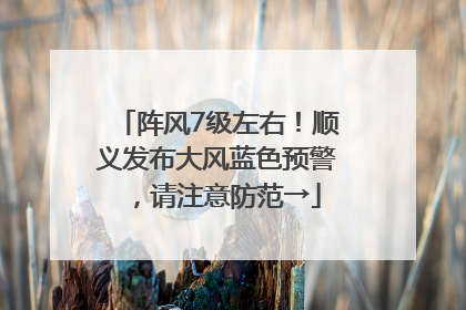 阵风7级左右！顺义发布大风蓝色预警，请注意防范→