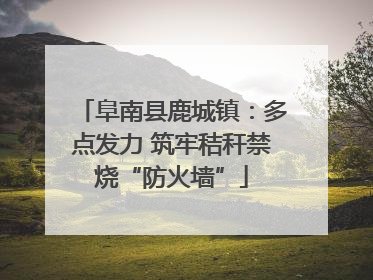 阜南县鹿城镇：多点发力 筑牢秸秆禁烧“防火墙”