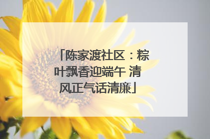 陈家渡社区：粽叶飘香迎端午 清风正气话清廉