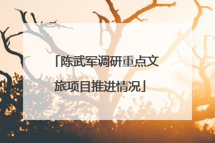 陈武军调研重点文旅项目推进情况