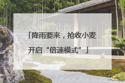 降雨要来，抢收小麦开启“倍速模式”