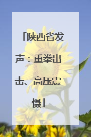 陕西省发声：重拳出击、高压震慑