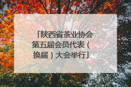 陕西省茶业协会第五届会员代表（换届）大会举行