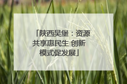 陕西吴堡：资源共享惠民生 创新模式促发展