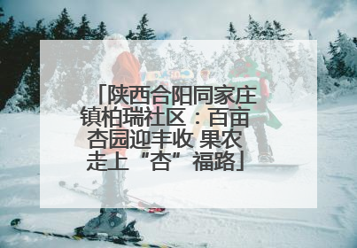陕西合阳同家庄镇柏瑞社区：百亩杏园迎丰收 果农走上“杏”福路
