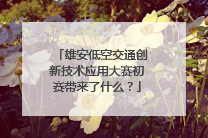 雄安低空交通创新技术应用大赛初赛带来了什么？